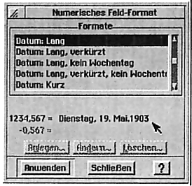 Numerisches Feld-Format: Datum-LAng