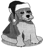 Hund mit Weihnachtsmütze