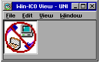 Win-Icon View