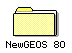 NewGEOS 80